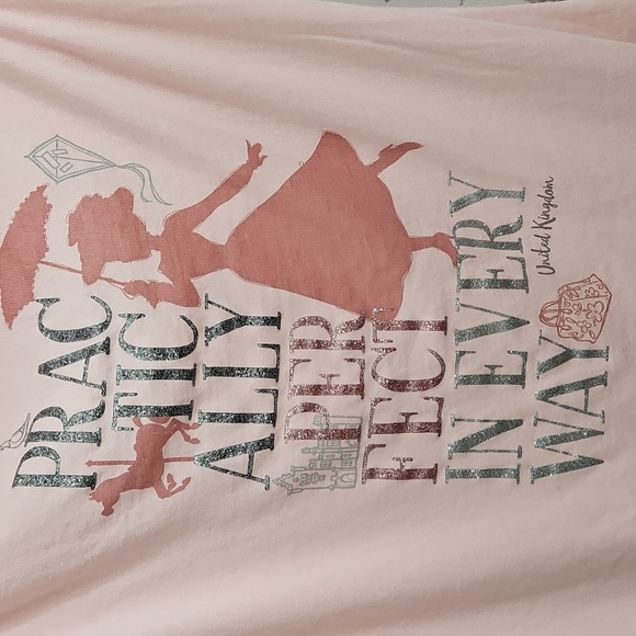 DISNEY PARKS MARY POPPINS -PRACTICALLY PERFECT IN EVERY WAY SZE LGE PINK T-SHIRT - Picture 2 of 7